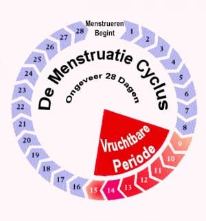 menstruatie berekenen - menstruatiekalender.com